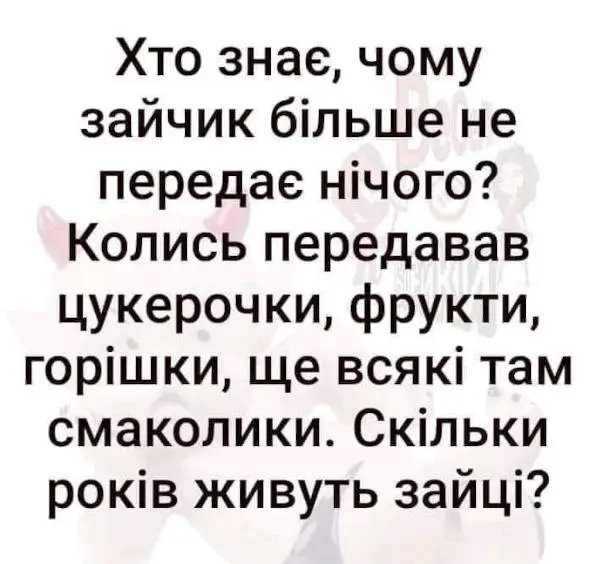 zhyvut-zajtsi.webp