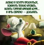 5b099053035f7f8ded2e0e6e2dcec074.webp