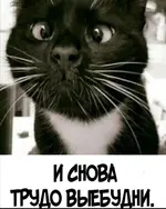 1a62fc7d-474c-4817-af43-628d65445405.webp