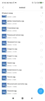 Screenshot_2021-08-28-21-52-17-961_com.mi.android.globalFileexplorer.webp
