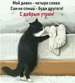 f53f824974ab2c2c525f0c8962c3df80.webp