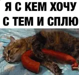 2021-09-04 15.09.11.webp