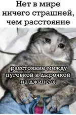 IMG-6636366c514cf299cb1677d6de287ee0-V.webp