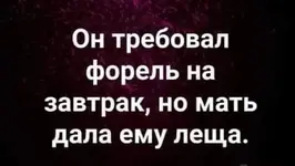 FB_IMG_1631984249575.webp