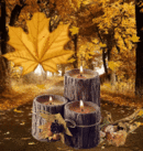 20210920_065140.gif