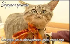 1544689773_22.webp