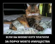 1553066493_1.webp
