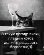 242474750_6376914808993054_4225180655766422387_n.webp