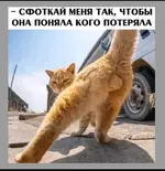 Polish_20210923_110331043.webp