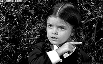 c5398f3f2474a286a011d996145085e9.gif