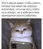 Polish_20210924_124132639.webp