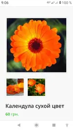 Screenshot_20210928-090659.webp