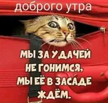 9e10c7f0-94ef-425e-aad0-0d98aaa26e3a.webp