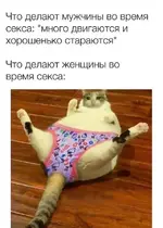 raznye-prikoly-na-vzroslye-temy-15-foto-13.webp