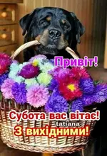 IMG-1c723375256b7646595fcf26f790a288-V.webp