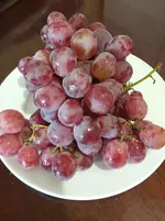IMG_20211009_103022.webp