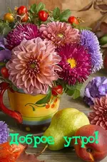 IMG-4672fc806c4eda22acdd439fe2388161-V.webp