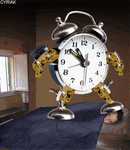 2d1265a735a2f321ae478831cca6323d.gif