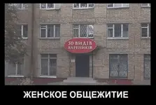 1634886514821.webp
