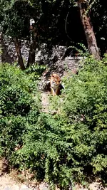 DSC_0490.webp