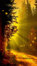 GIF-47c7861a811603f650eaaefea2fb99a7.gif