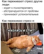 -1830368741.webp