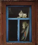 -1257190056.webp