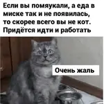1733751765.webp