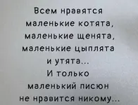 5218A02A-FD90-49EF-95F5-EA513D5E00DD.webp