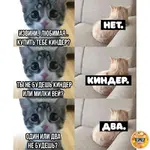 -394758461.webp