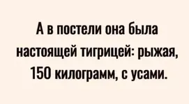 39057CE3-87E9-4A11-82BF-D4352F3D13CB.webp