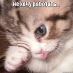 09D65629-3E64-4AFB-A241-C4CCFE25220E.webp