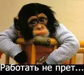xzTR2WDWd28.webp