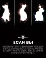 IMG-92552975f126a9185285887076a45106-V.webp