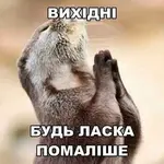 IMG-899fb3afa9dc54ea504ada442f5c386a-V.webp