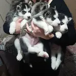 _20211212_084554.webp