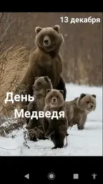 Screenshot_20211213-095238.webp