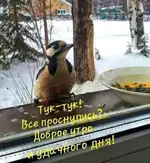IMG-1b3374d324b83c06196217223e02b475-V.webp