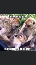 IMG-ad112a80fd2ce34f4bc79282343d42f9-V.webp