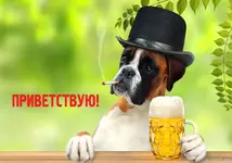 IMG-a9845f0c94c3f9a821d6c3855e9cd461-V.webp