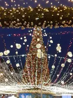 IMG-dd7a6a2a1231333f2e37a52bf78c622b-V.webp