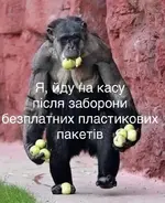 IMG-80579792f0009921dc41f969d74bf68d-V.webp
