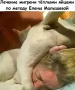 IMG-236a341830ab9c8fd94e96abb90e334e-V.webp