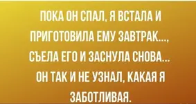 e452e92f934acad193a90fa7f460ee08aa23ae5fc7840eddb84bd01e79349826_1.jpg.webp