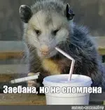 D0DAC5B8-F3B7-4085-82E5-53064D2C6659.webp