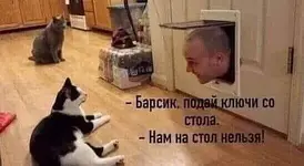 IMG-197ed45dda1276e94417bd7d8eebf3bd-V.webp