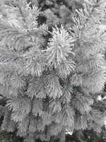 IMG_20220113_084040_1.webp