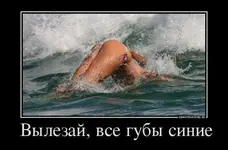 1432547671_11-demotivatory-dlya-vzroslyh_xaxa-net.ru_.webp