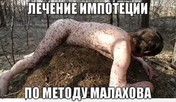 5e7kskm3m7i.webp