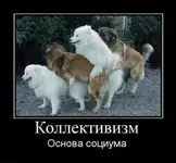 1312357458_1312292803_1296761462_1296686352_pikantnye-demotivatory-3-450x419.webp